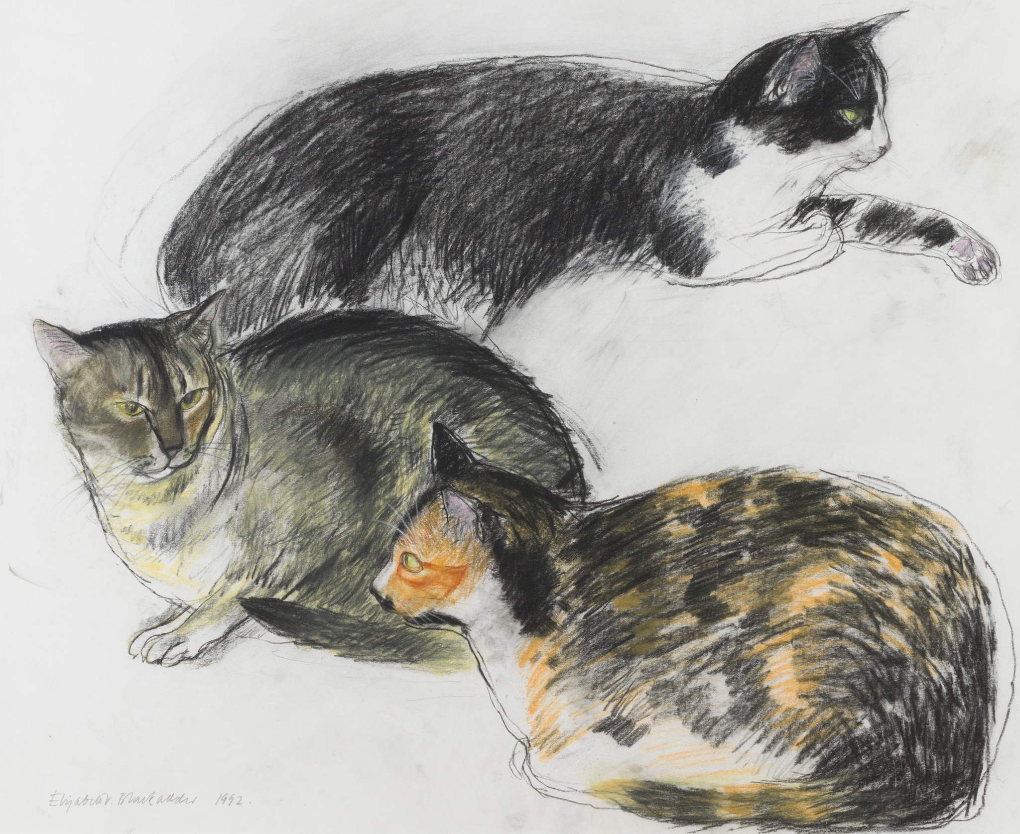 ELIZABETH BLACKADDER O.B.E., R.A., R.S.A., R.S.W., R.G.I., D.LITT (SCOTTISH B.1931) THREE CATS